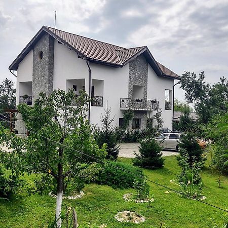 Pensiunea Codruta Carpinisu Экстерьер фото