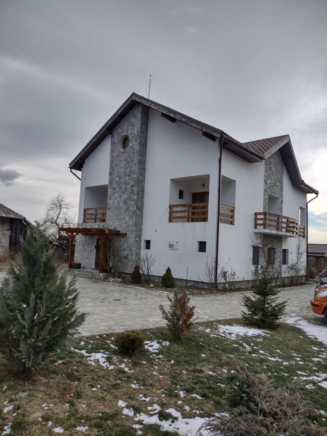 Pensiunea Codruta Carpinisu Экстерьер фото