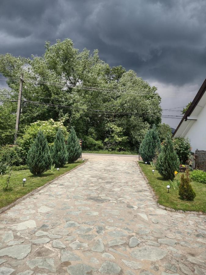 Pensiunea Codruta Carpinisu Экстерьер фото