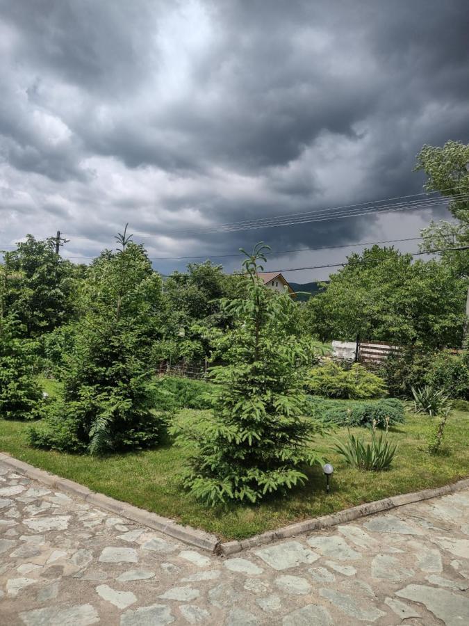 Pensiunea Codruta Carpinisu Экстерьер фото