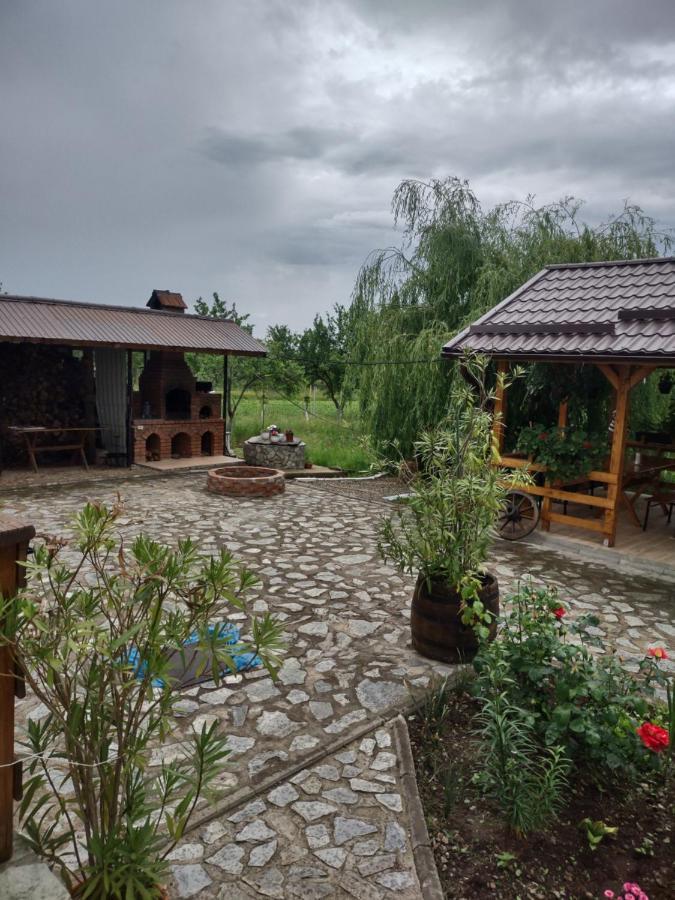 Pensiunea Codruta Carpinisu Экстерьер фото