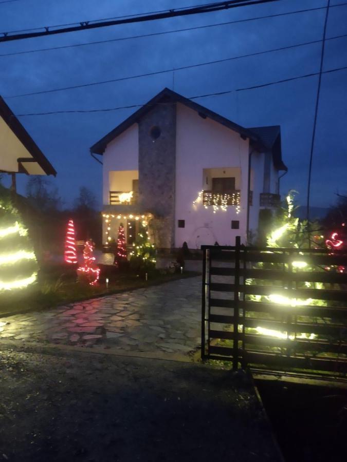 Pensiunea Codruta Carpinisu Экстерьер фото