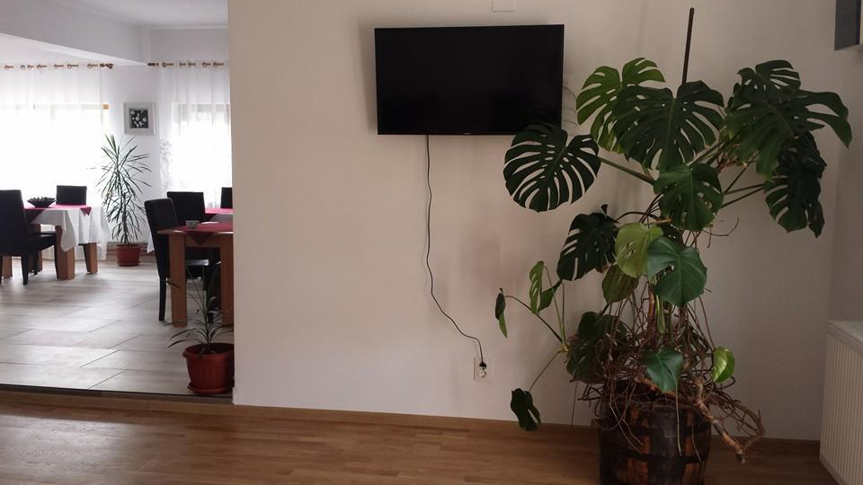 Pensiunea Codruta Carpinisu Экстерьер фото