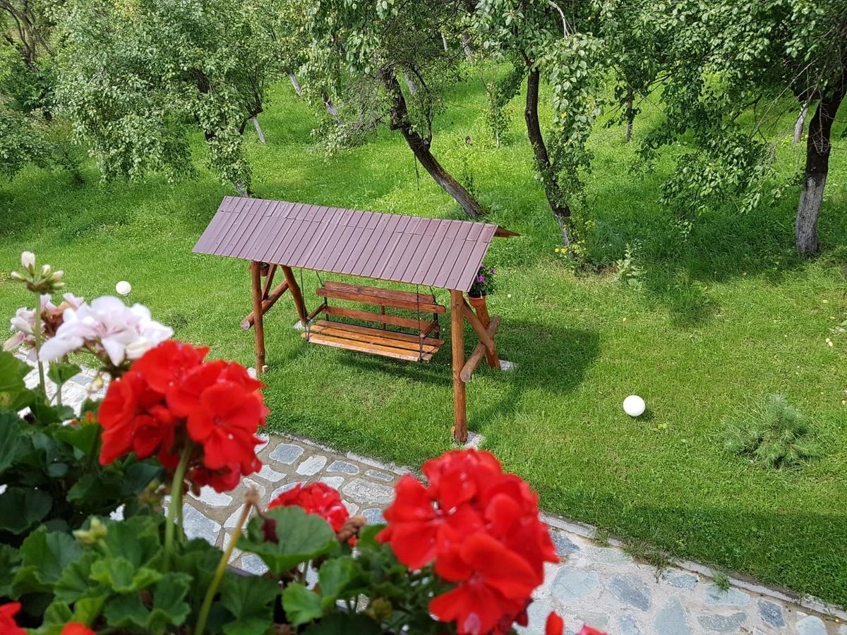 Pensiunea Codruta Carpinisu Экстерьер фото